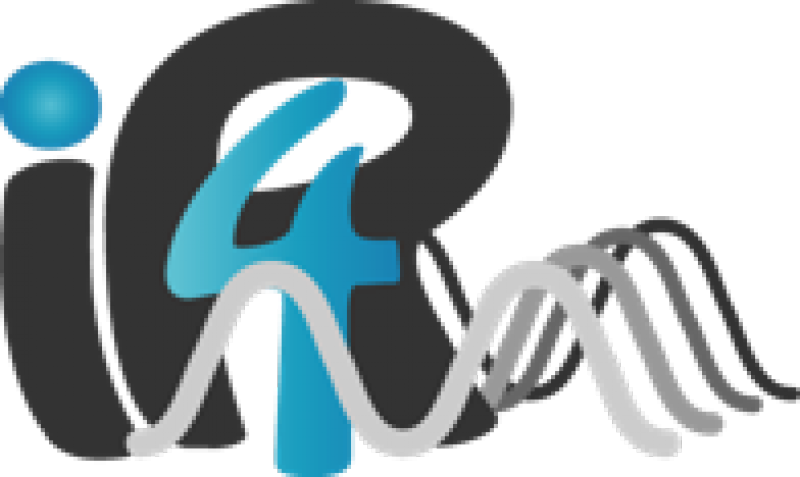 Imagerie par Résonance Magnétique Médicale et Multi-Modalités (IR4M)